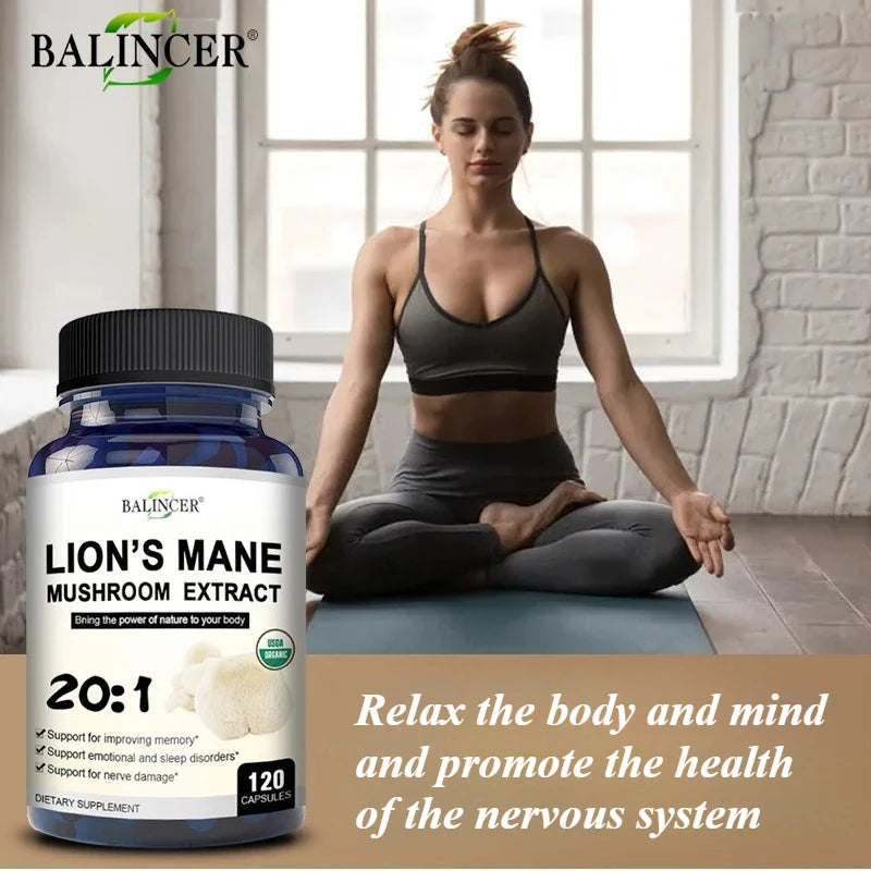 Lion's Mane - Nootropic Brain
