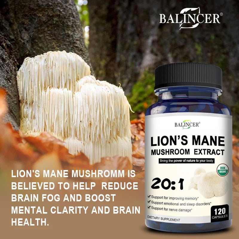 Lion's Mane - Nootropic Brain