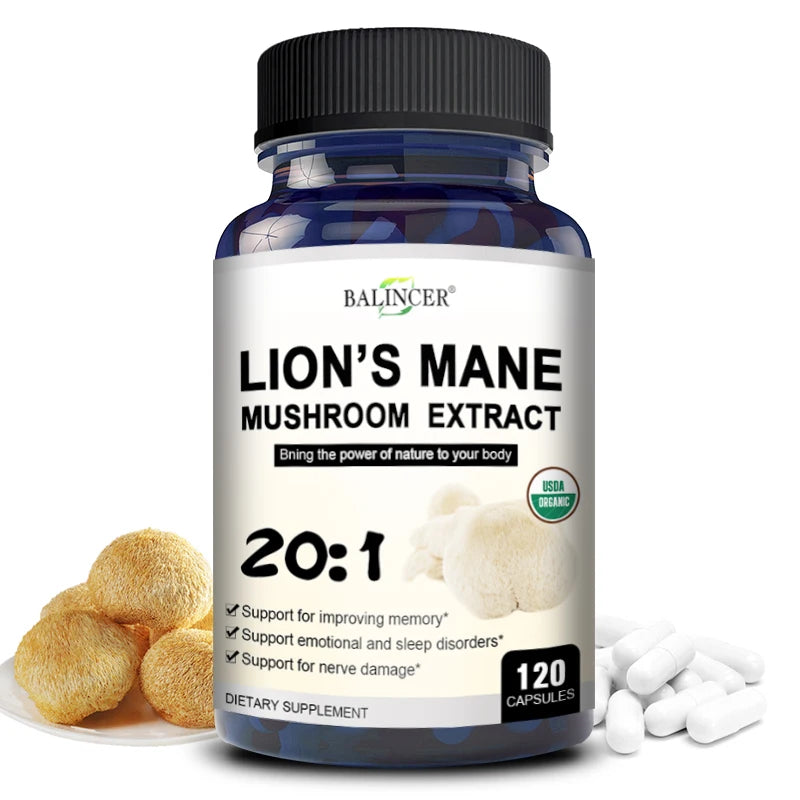 Lion's Mane - Nootropic Brain